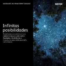 Tóner Xerox 101r00582 Original, Negro