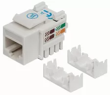 Jack Intellinet Rj45 Cat6 De Impacto (keystone) Blanco