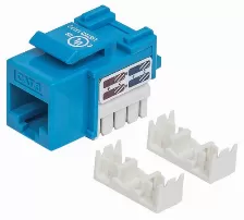 Jack Intellinet Rj45 Cat6 De Impacto (keystone) Azul