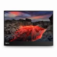 Monitor Lenovo Thinkvision M14t Led, 14