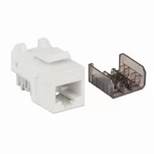 Jack Keystone Intellinet Cat 6a, Blanco Con Negro