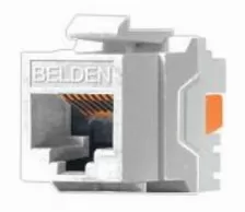 Conector Belden Ax101320 Color Blanco