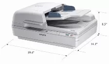 Escaner Epson B11b205221 Resolución 1200 X 1200 Dpi, Escáner A Color, Usb, Blanco