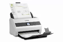 Escaner Epson Workforce B11b250201 Resolución 600 X 600 Dpi, Escáner A Color, Usb, Negro, Blanco