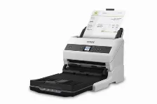 Escaner Epson Workforce B11b250201 Resolución 600 X 600 Dpi, Escáner A Color, Usb, Negro, Blanco