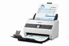 Escaner Epson Workforce B11b251201 Resolución 600 X 600 Dpi, Escáner A Color, Usb, Gris, Blanco