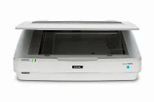 Escaner Epson Expression 13000xl Fotografico, 2400 Dpi, Tamaã‘o A3 , Usb