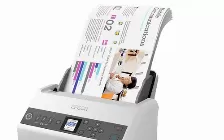 Escaner Epson Ds-730n Alimentacion Vertical A Color Duplex Hasta 4,500 Pag B11b259201