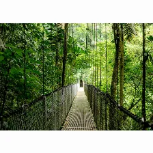 Pc Hp Amd Ryzen Ai 5 340, 16 Gb, Windows 11 Pro, Wifi