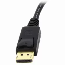 Adaptador Vídeo Startech.com Displayport A Dvi-i, 0.152 M, Negro