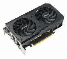 Tarjeta De Video Asus Dual Geforce Rtx 5050, 8 Gb, 128 Bit, Gddr6, Pci Express 5.0