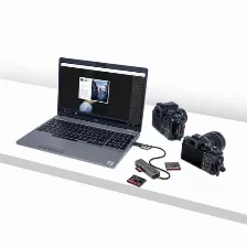 Lector De Memorias Startech.com Fcreadmicro3v2 Transferencia 5000 Mbit/s, Cf Tipo Ii, Microsd (transflash), Microsdhc, Microsdxc, Sd, Sdhc, Sdxc, Color Gris