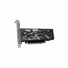 Tarjeta De Video Gigabyte Geforce Rtx 5050 Oc Low Profile, 8 Gb, 128 Bit, Gddr6, Pci Express 5.0, Dp/hdmi