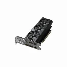 Tarjeta De Video Gigabyte Geforce Rtx 5050 Oc Low Profile, 8 Gb, 128 Bit, Gddr6, Pci Express 5.0, Dp/hdmi