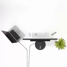 Cable Adaptador De 1,8m De Monitor Mini Displayport 1.2 Macho A Dp Macho - 4k, (mdp2dpmm6)