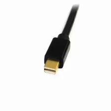 Adaptador Vídeo Startech.com Mini Displayport A Dvi-d, 1.8 M, Negro
