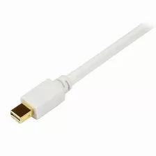 Adaptador Vídeo Startech.com Mini Displayport A Dvi-d, 1.8 M, Negro