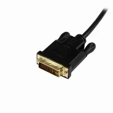 Adaptador Vídeo Startech.com Mini Displayport A Dvi-d, 1.9 M, Negro