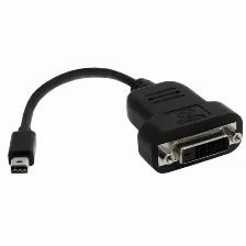 Adaptador Vídeo Startech.com Mini Displayport A Dvi-d, 0.12 M, Negro