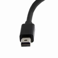 Adaptador Vídeo Startech.com Mini Displayport A Dvi-d, 0.12 M, Negro