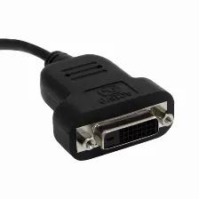 Adaptador Vídeo Startech.com Mini Displayport A Dvi-d, 0.12 M, Negro