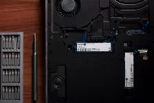 Ssd Kingston Nv3 2tb, M.2, Pci Express 4.0, Lectura 6000 Mb/s, Escritura 5000 Mb/s