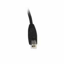 Cable Kvm De 1,8m Todo En Uno Vga Usb A Usb B Hd15 - 6ft Pies 2 En 1, (svusb2n1_6)
