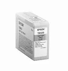 Cartucho De Tinta Epson T850900 Original, Negro Claro Claro