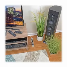 Supresor De Picos Tripp Lite 120 V, 1800 W, 790 J, 6 Contactos, Nema 5–15p, Gris