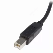 Cable Usb Startech.com Usb A A Usb B, 480 Mbit/s, Negro