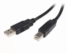 Cable Usb Startech.com Usb2hab3m Usb A A Usb B, 480 Mbit/s, Negro