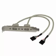 Adaptador Startech.com 2 X Idc A 2 X Usb A, Plata