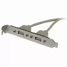 Adaptador Startech.com 2 X Idc A 2 X Usb A, Plata