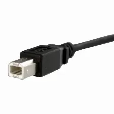 Extensor Startech.com 0.3 M, Usb B A Usb B, 480 Mbit/s, Negro