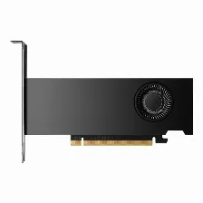 Tarjeta De Video Pny Nvidia Rtx 2000 Ada 16gb, 128bit, Gddr6,pci Express X8 4.0, 4xdp