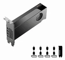 Tarjeta De Video Pny Rtx Pro 2000 Blackwell Rtx Pro 2000, 16 Gb, 128 Bit, Gddr7, Pci Express X8 5.0