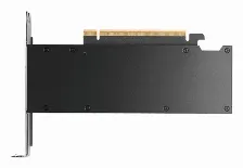 Tarjeta De Video Pny Rtx Pro 2000 Blackwell Rtx Pro 2000, 16 Gb, 128 Bit, Gddr7, Pci Express X8 5.0